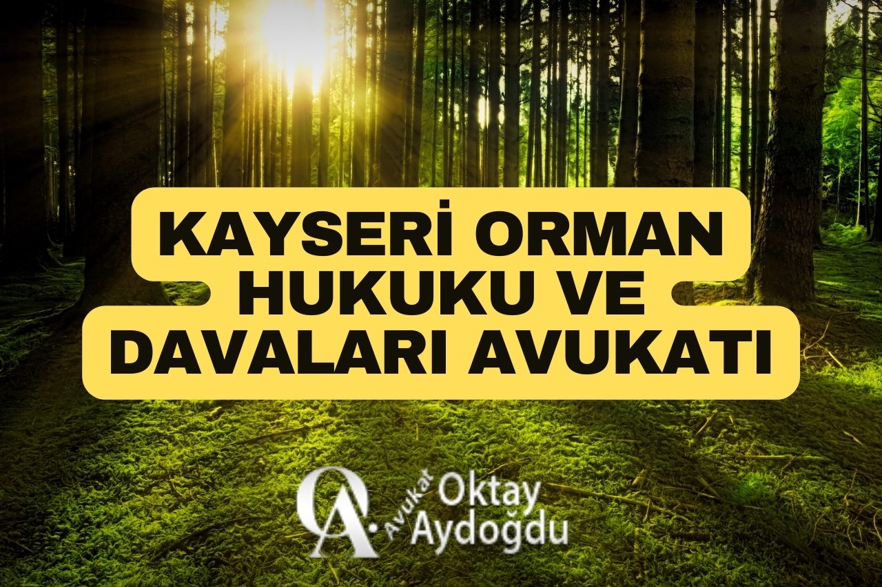 Kayseri Orman Hukuku ve Davaları Avukatı OKTAY AYDOĞDU