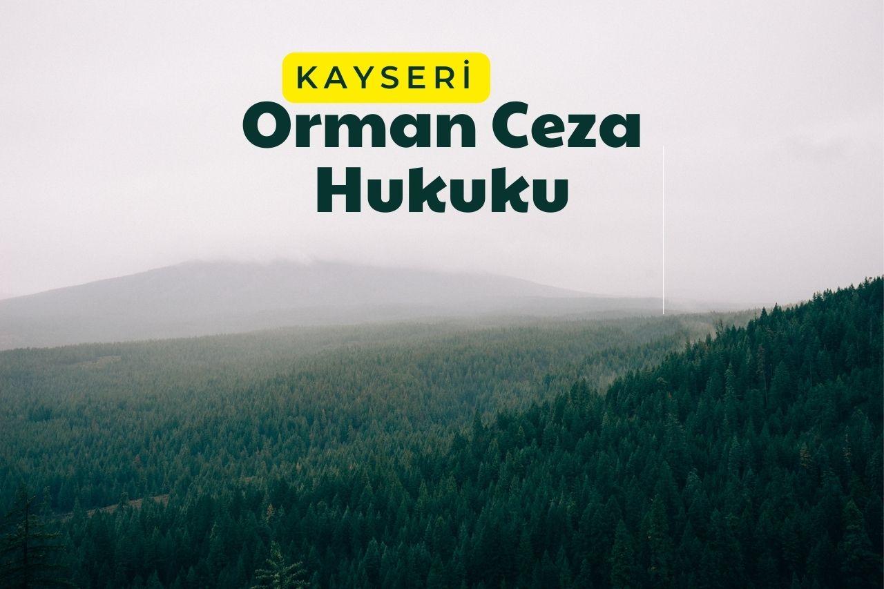 Orman Ceza Hukuku Kayseri Avukatı