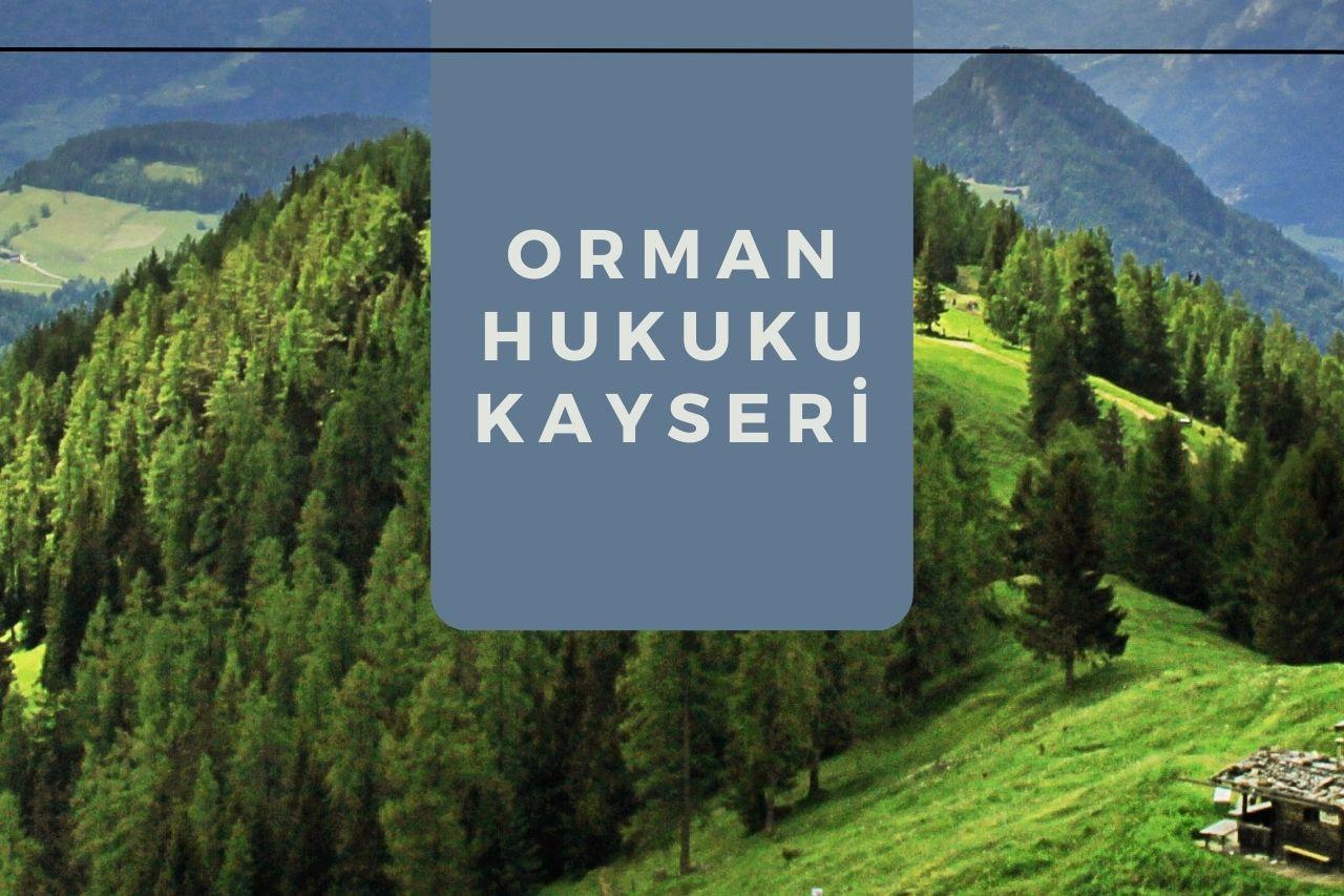 Orman Hukuku Avukatı